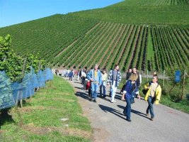 weinbergwanderung.jpg