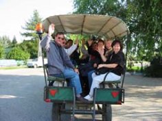 Singles ludwigsburg umgebung